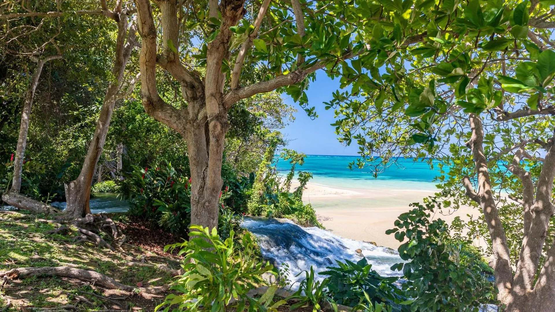 Sandals Dunns River All Inclusive Couples Only Ocho Rios Hotel